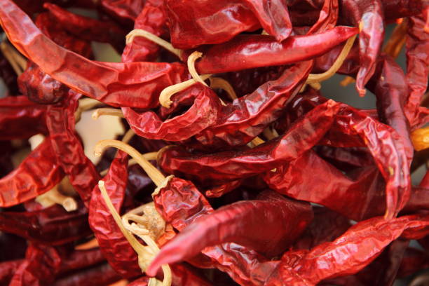 Common  Dry Red Chilli